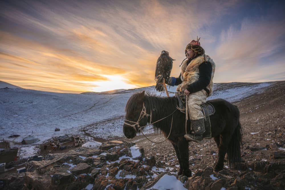 Eagle Hunter at Sunset by HIRAK BHATTACHARJEE — canvas wall art