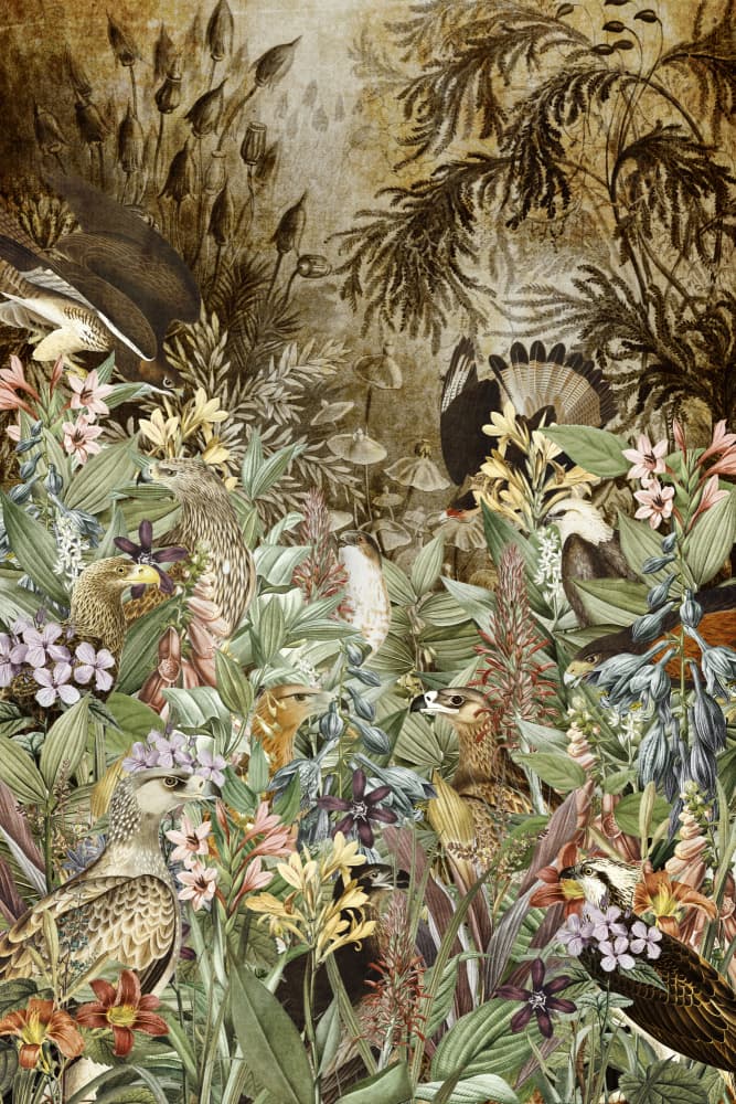 Tropical Forest Birds by Simon Goggin — canvas wall art