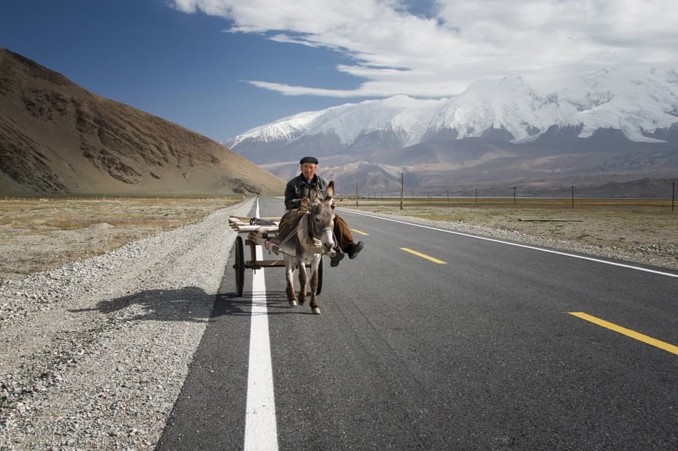Donkey Cart Mountain Journey by Reggy — canvas wall art