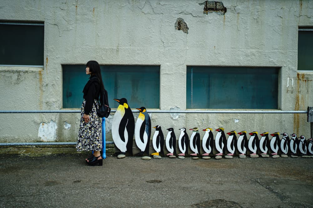 Woman Penguin Line by Kurosaki Sangan — canvas wall art