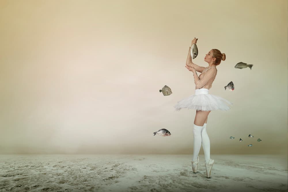Ballerina and Floating Fish by Christine von Diepenbroek — canvas wall art