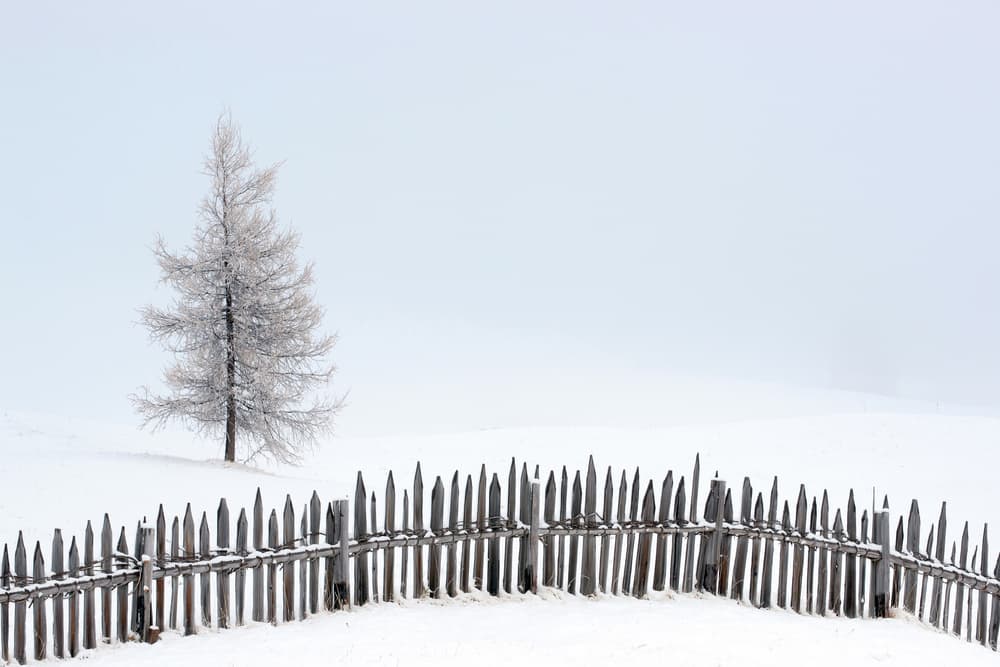 Serene Snowy Landscape by Vito Miribung — canvas wall art