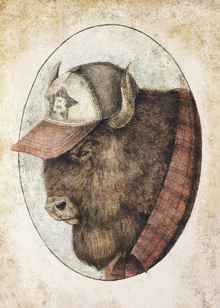 Buffalo In A Baseball Cap by Mike Koubou — canvas wall art