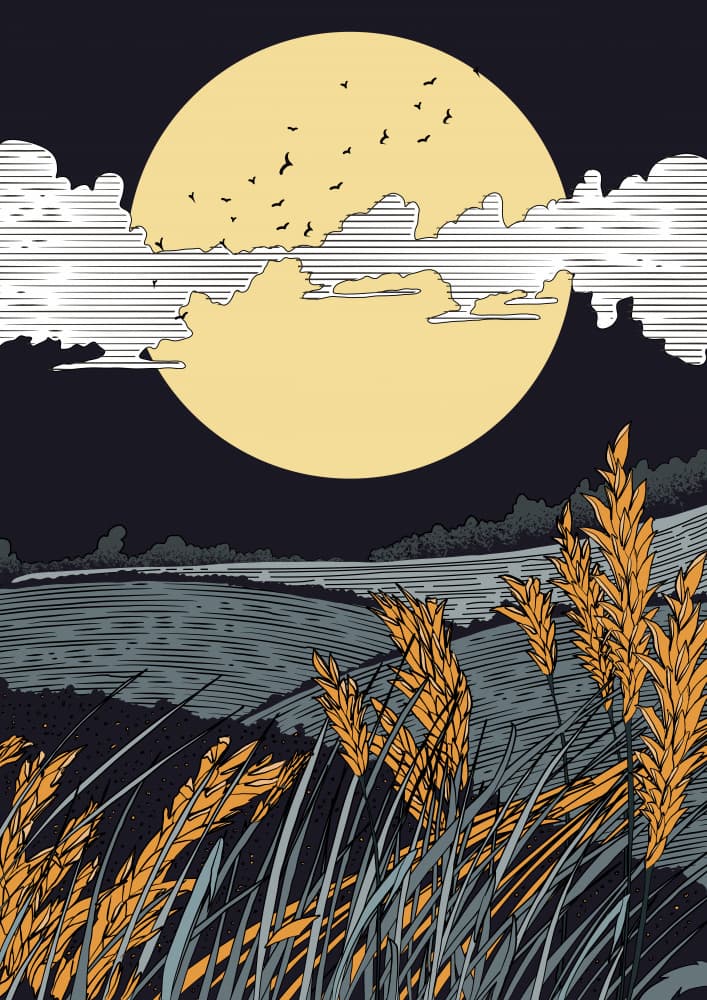 Moonlit Wheat Field by Nicholas — canvas wall art