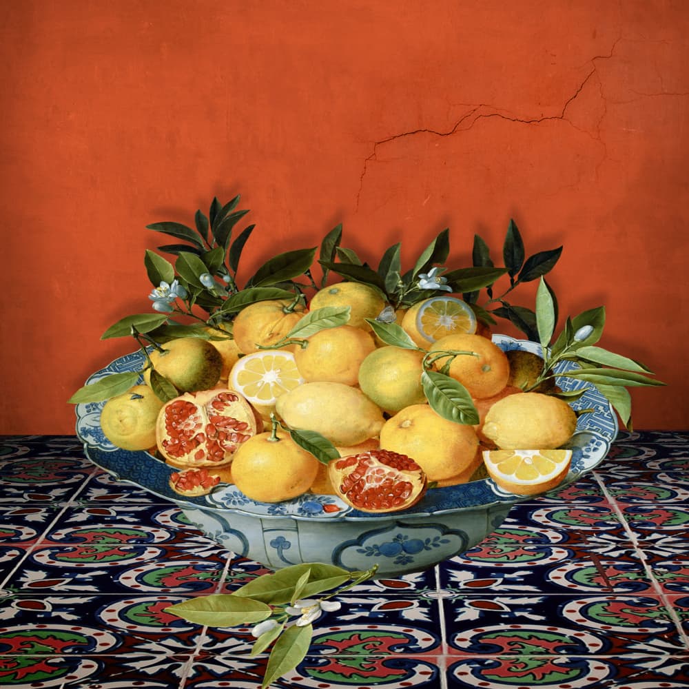 Vibrant Citrus Pomegranates by Marja van den Hurk — canvas wall art