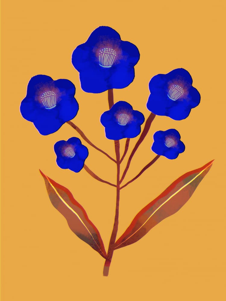 Vibrant Blue Flowers