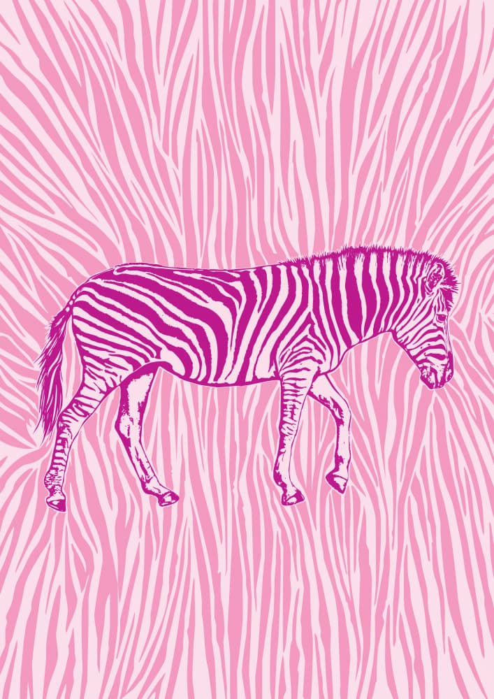 Bold Pink Zebra by Carlo Kaminski — canvas wall art