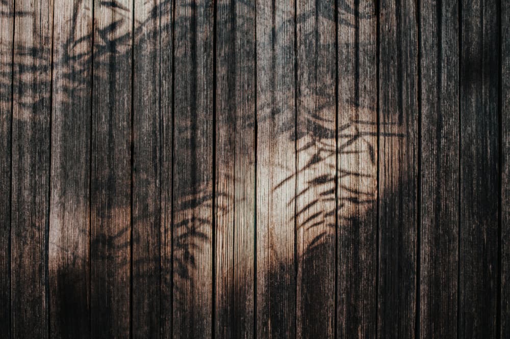 Weathered Wood Leaf Shadows by Tim Mossholder — canvas wall art