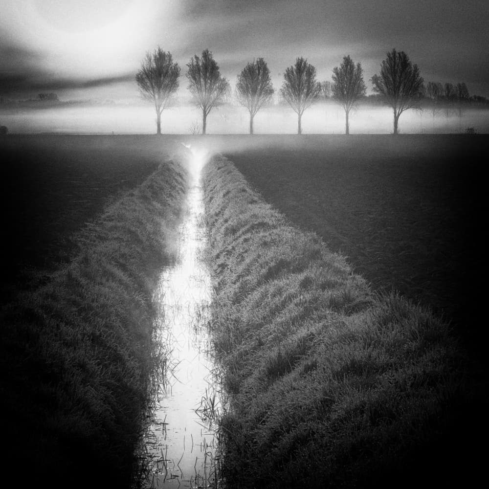 Misty Morning Path by Marion Keijzer — canvas wall art