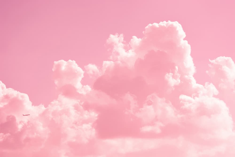 Pastel Sky Flight by Tal Paz-Fridman — canvas wall art