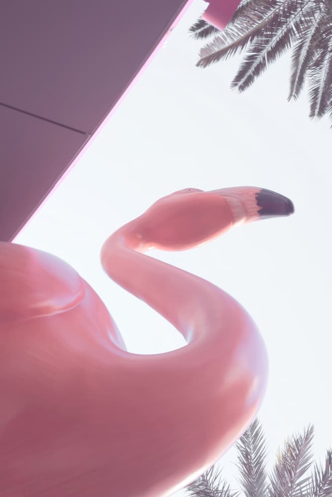 Sunny Pink Flamingo by Pictufy Studio III — canvas wall art