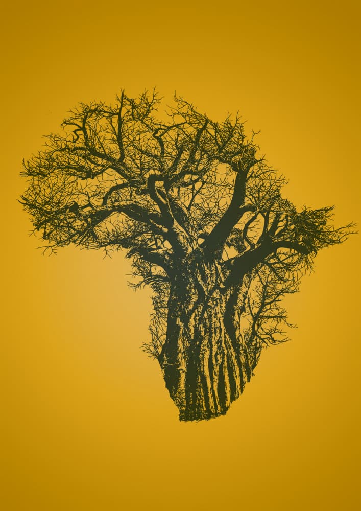 Africa Baobab Silhouette by Carlo Kaminski — canvas wall art