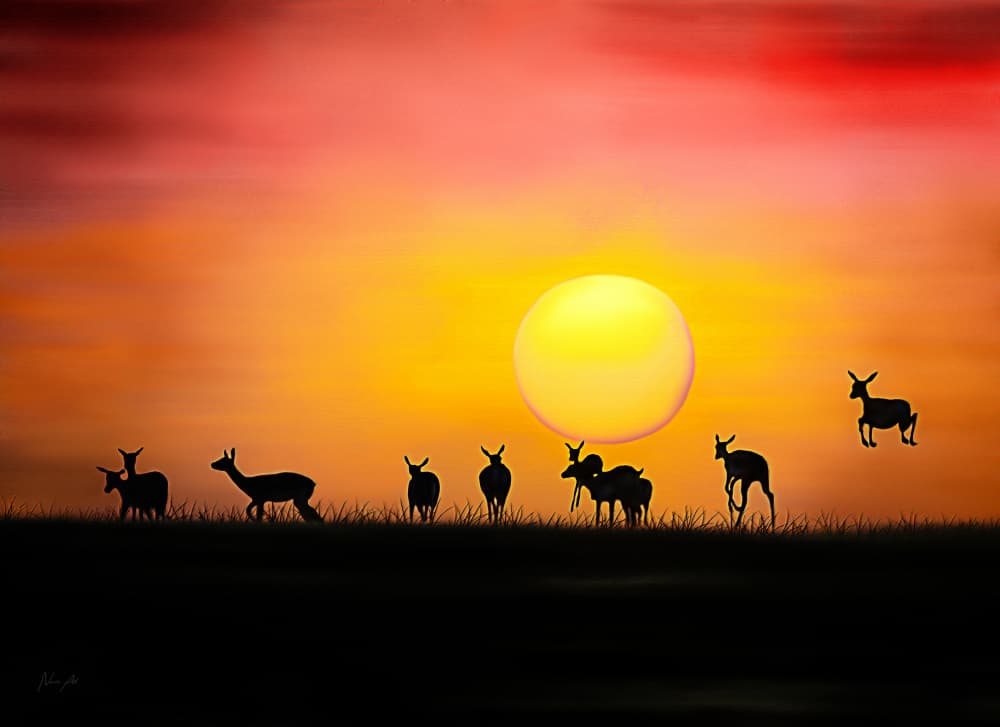 Deer At Sunset by Lord Amihere — canvas wall art