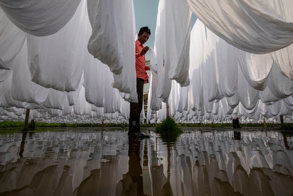 White Fabric Reflections by Azim Khan Ronnie — canvas wall art