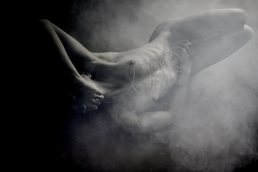 Sensual Coiled Form by Olga Mest — canvas wall art