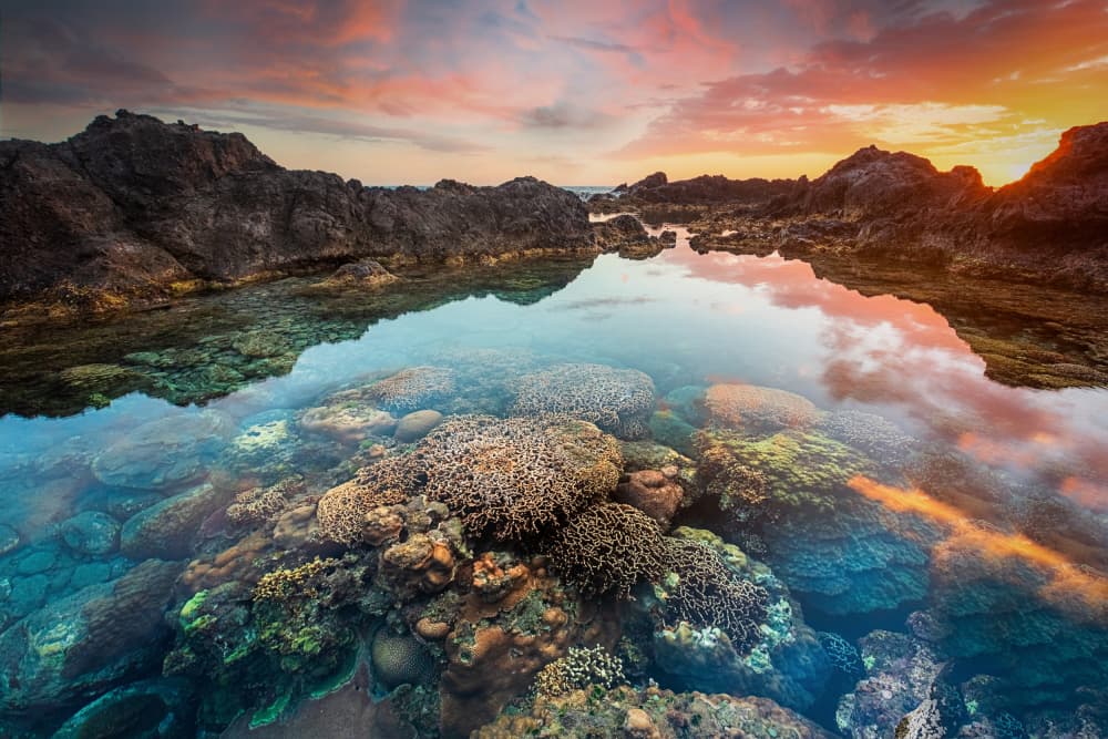 Tropical Tide Pool Sunset by yoann — canvas wall art