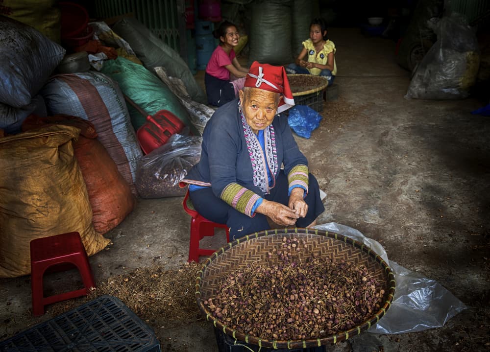 Elderly Woman Sorting Harvest by Angela Muliani Hartojo — canvas wall art