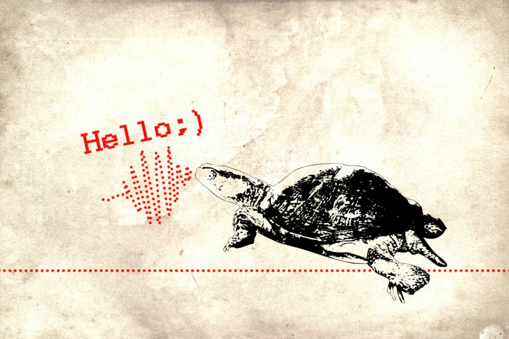 Hello Turtle Sound Wave by Rafal Kulik — canvas wall art
