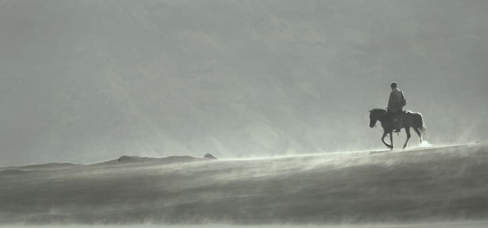 Solitary Desert Rider by Sebastian Kisworo — canvas wall art