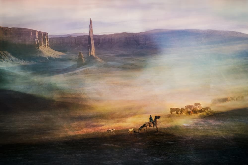 Misty Western Cattle Drive by Shenshen Dou — canvas wall art
