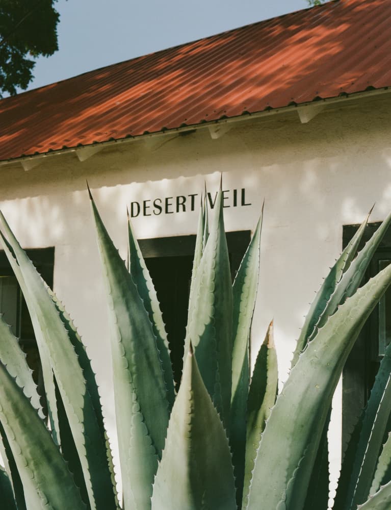 Agave Desert Home by Bethany Young — canvas wall art