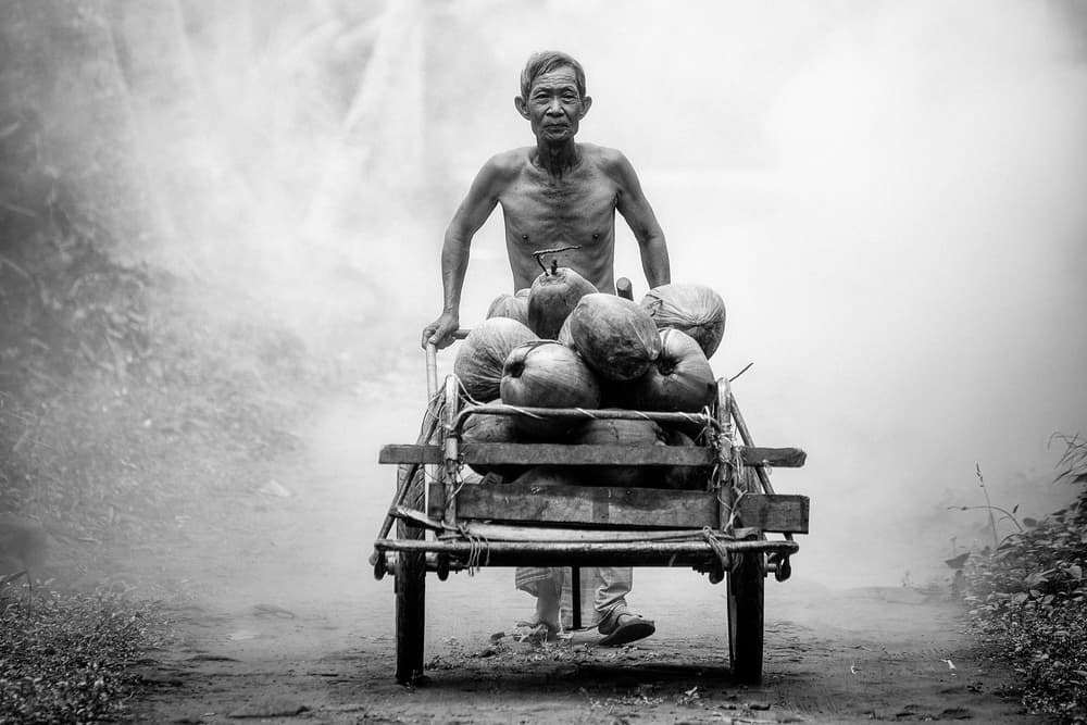 Working Man Coconut Cart by ADIREK M — canvas wall art