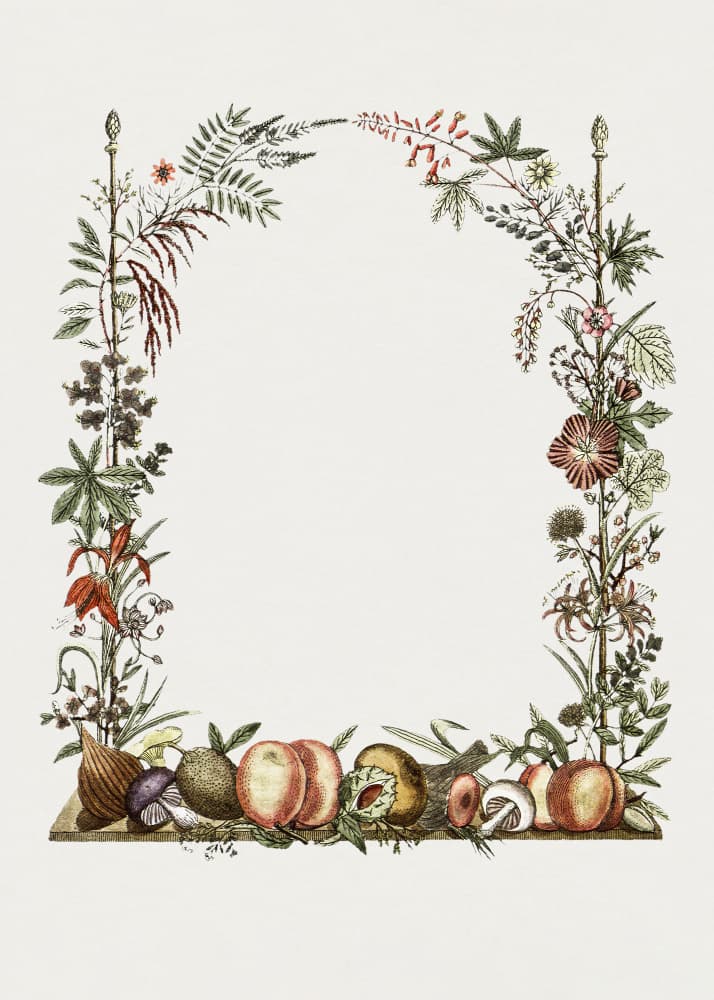 Hand Drawn Botanical Frame by Biodiversity Heritage Library — canvas wall art