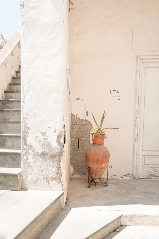 Sunny Terracotta Pot by Henrike Schenk — canvas wall art