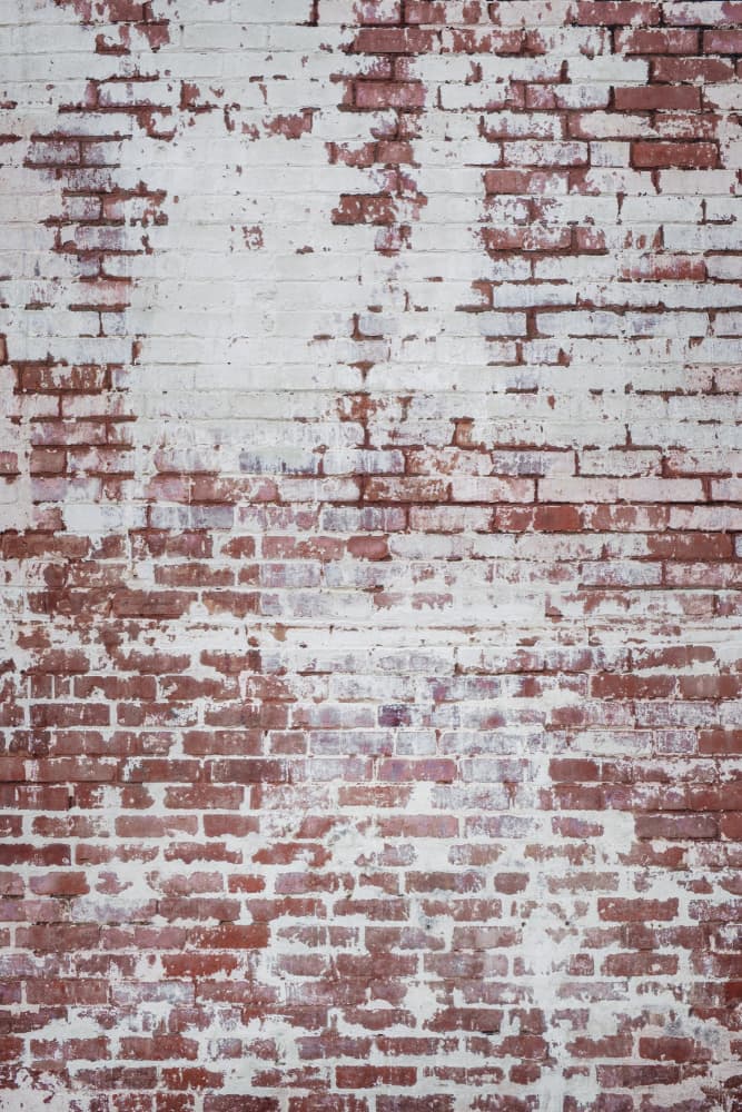 Peeling White Paint Brick by Tim Mossholder — canvas wall art