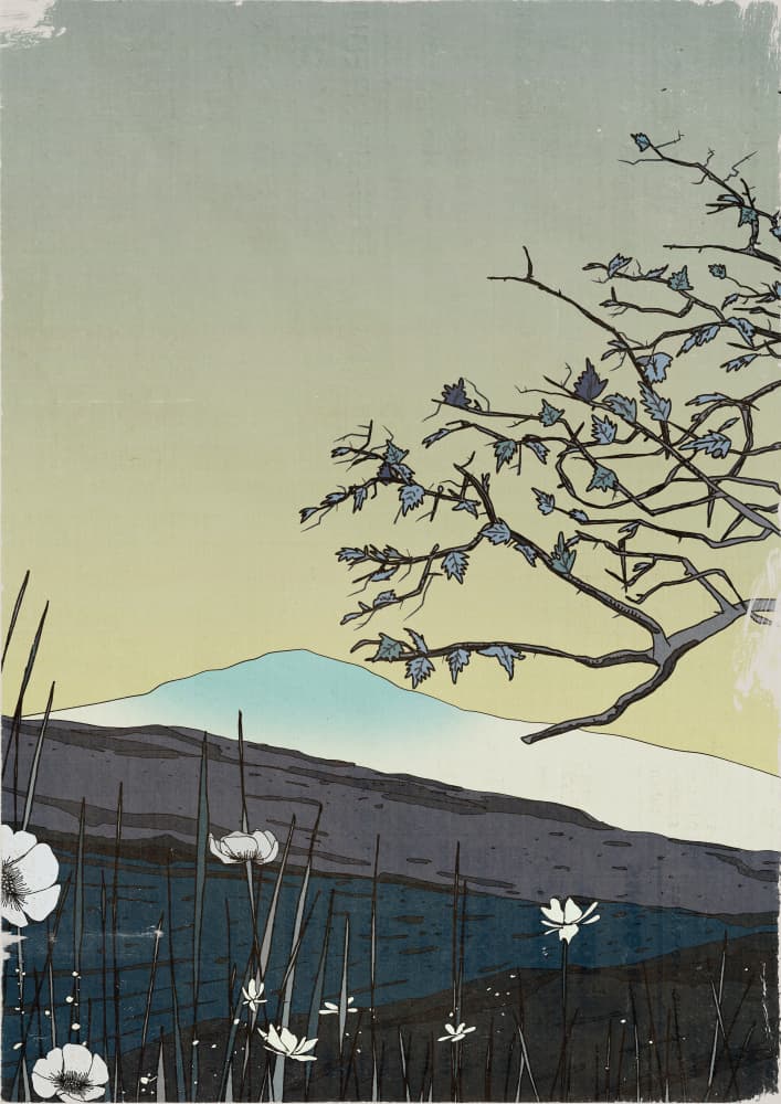 Mountain Sky White Flowers by Nicholas — canvas wall art