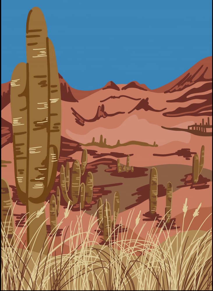 Cactus desert by Anis Illustration — canvas wall art
