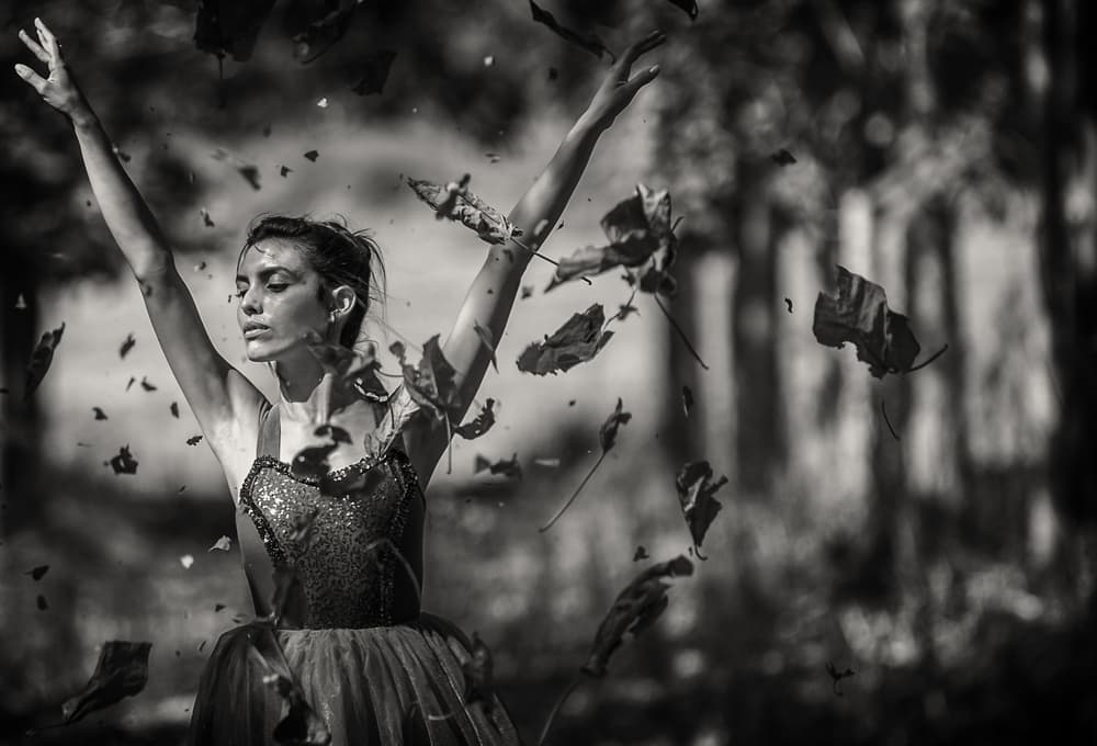 Ballet in Autumn Leaves by Tomer Eliash — canvas wall art