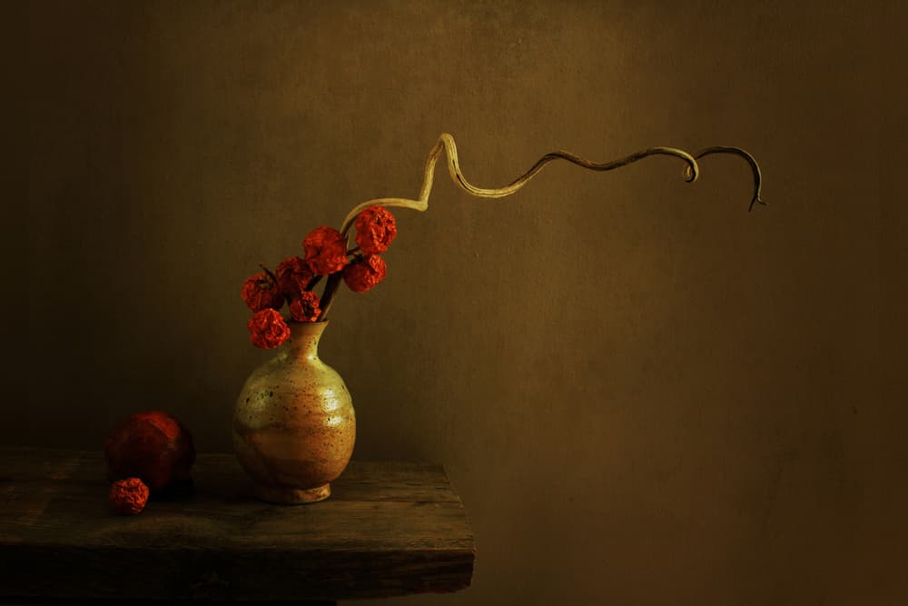 Dark Botanical Still Life by Margaret Halaby — canvas wall art