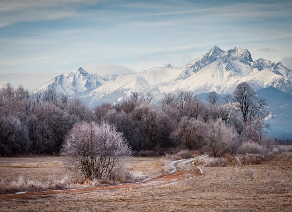 Frosty Winter Peaks by Peter Svoboda MQEP — canvas wall art