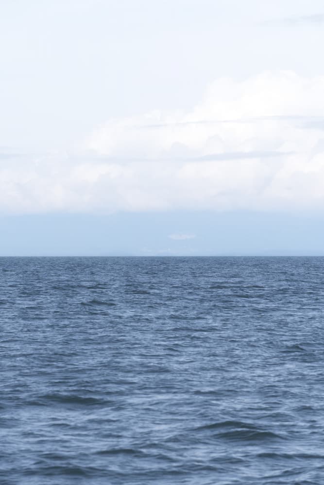 Serene Ocean View by Lynann Colligan — canvas wall art