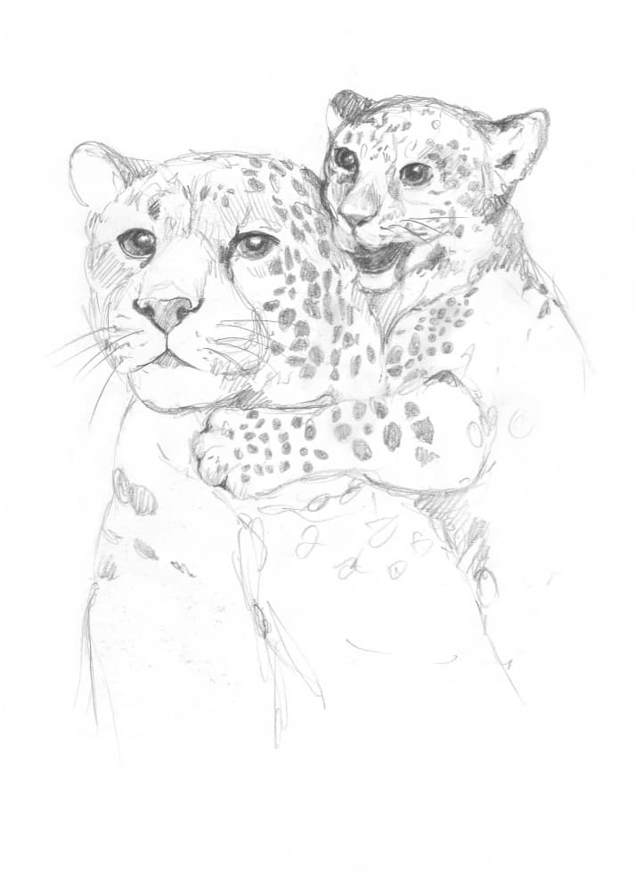 Leopards by Isabelle Brent — canvas wall art
