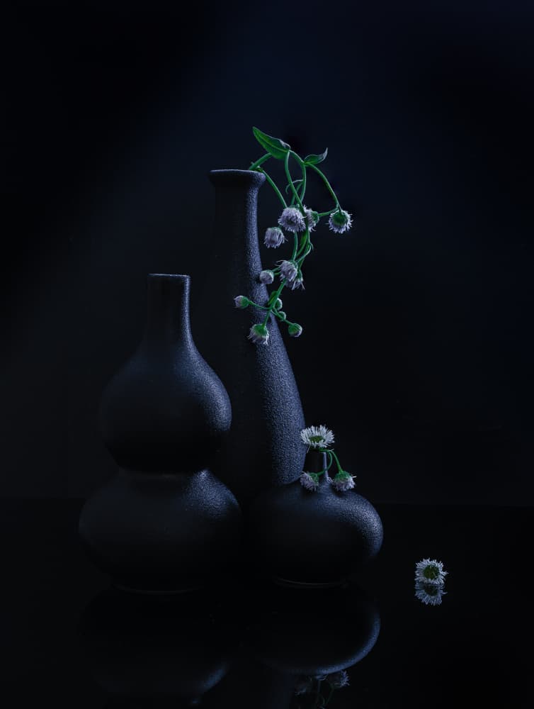 Serene Vases and Blooms by Alice Sheng — canvas wall art