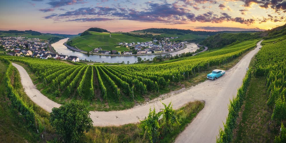 Vineyard River Sunset Drive by Jean Claude Castor — canvas wall art