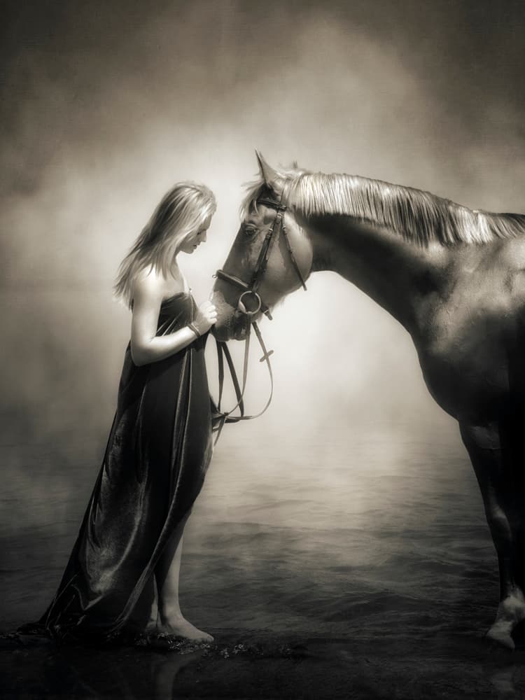 Misty Horse Connection by Charlaine Gerber — canvas wall art