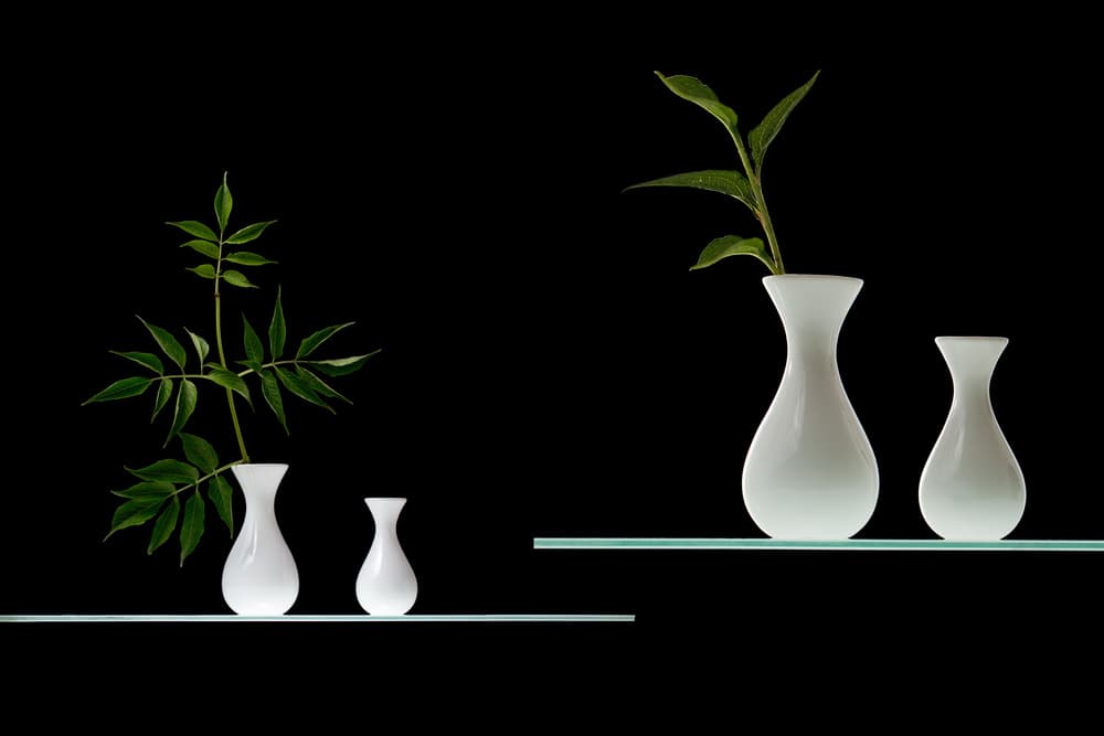 Minimalist Greenery Vases by Doris Reindl — canvas wall art