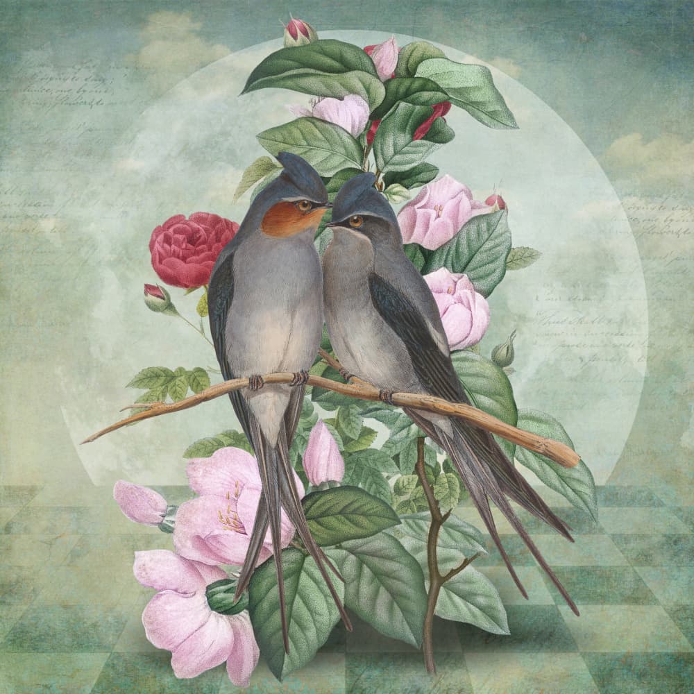 Swallow Lovebirds Romance by Marja van den Hurk — canvas wall art