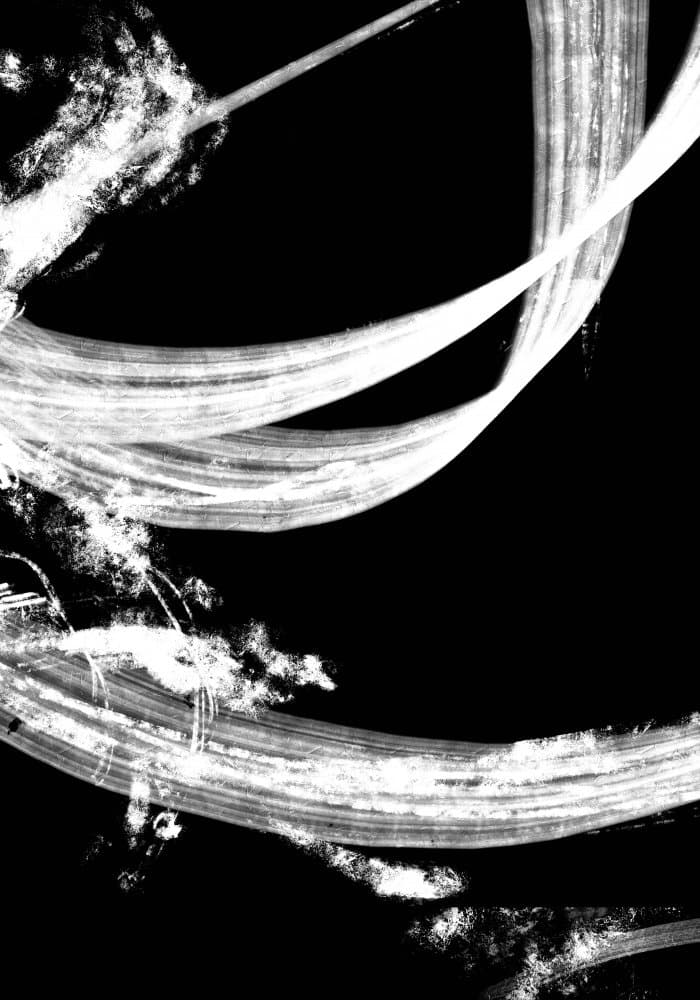 Dynamic White Strokes by Pictufy Studio II — canvas wall art