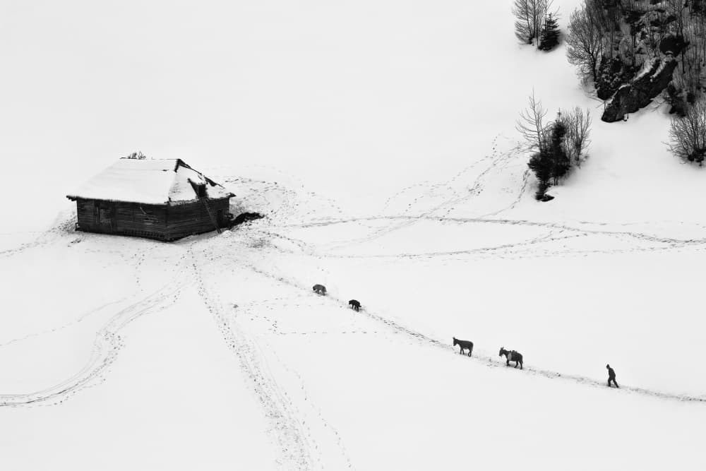 Winter Walk to the Cabin by Sebastian Prioteasa — canvas wall art