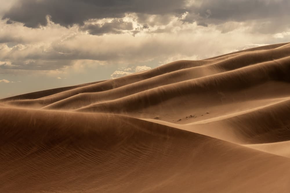 Windswept Desert Dunes by Q Liu — canvas wall art