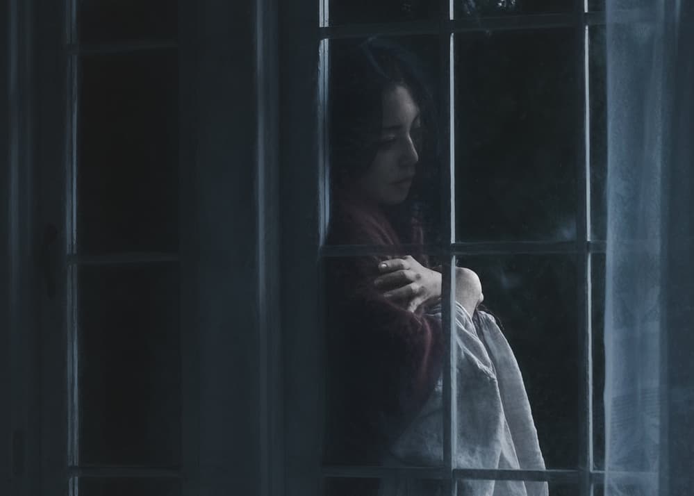 Quiet Woman By Window by Suzuhiko Suzuki — canvas wall art