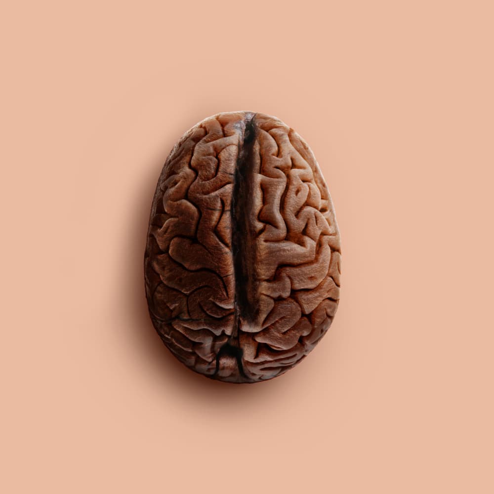 Coffee Brain by Artem Pozdniakov — canvas wall art