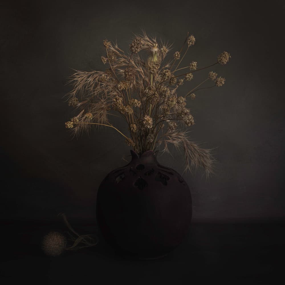 Dark Botanical Arrangement by Cicek Kiral — canvas wall art