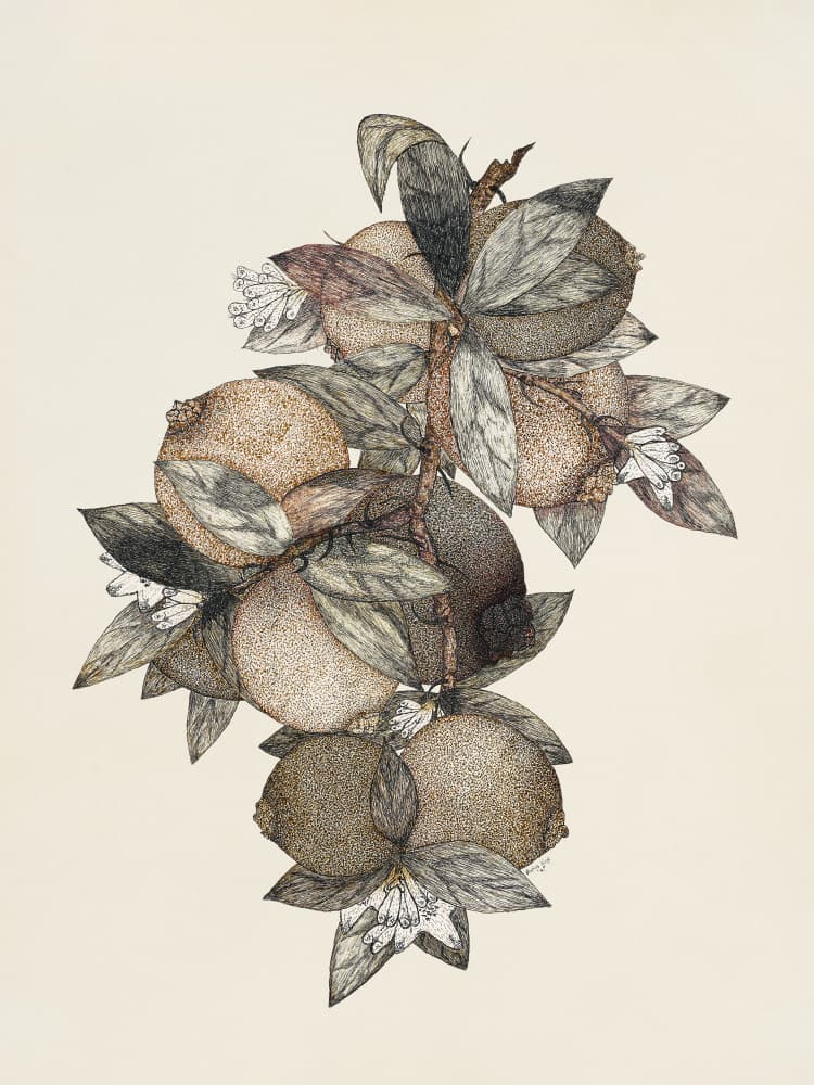 Pomegranate (1867) Rufus King by Rufus King — canvas wall art