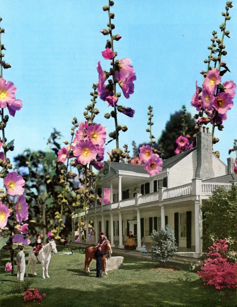Grand Hollyhock Garden by Betty Klaasse — canvas wall art