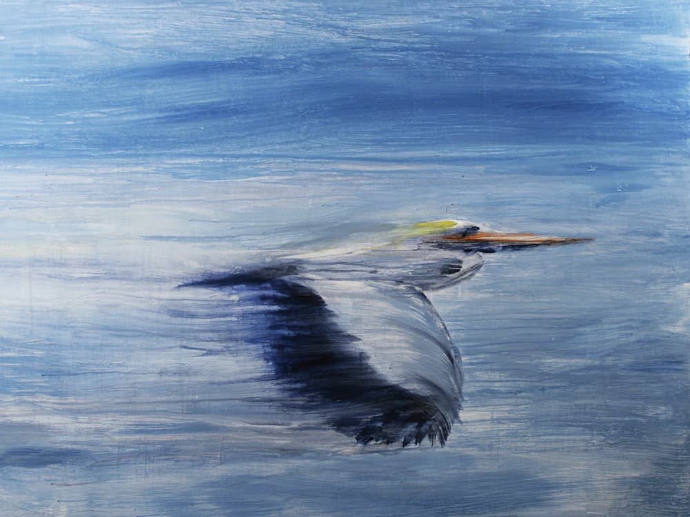 Serene Bird Flight by RodMacIver — canvas wall art